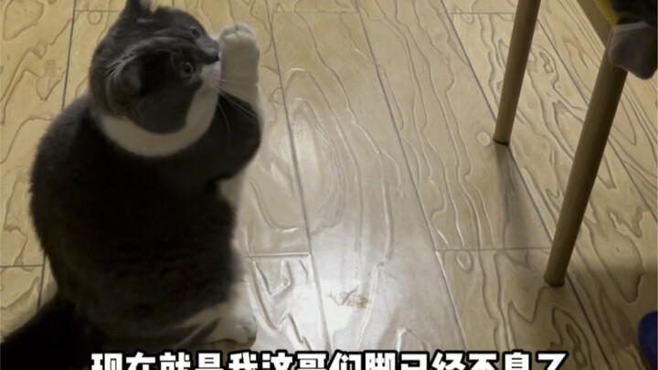 I suspect it’s just a conditioned reflex.