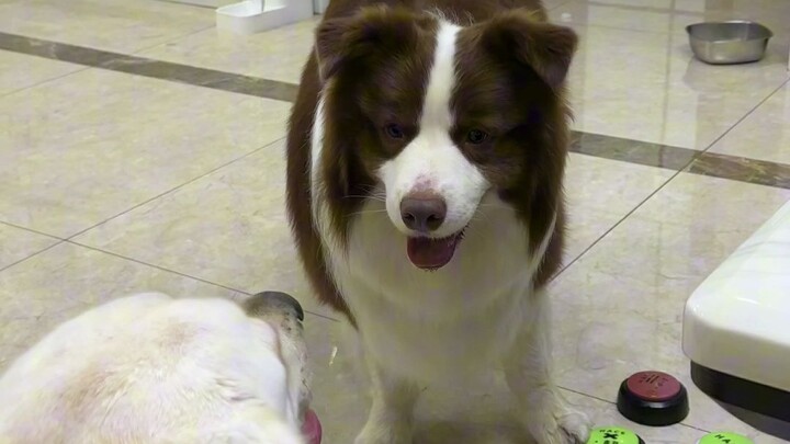 Fishy: If you stay any longer, I’m really going to get super jealous!