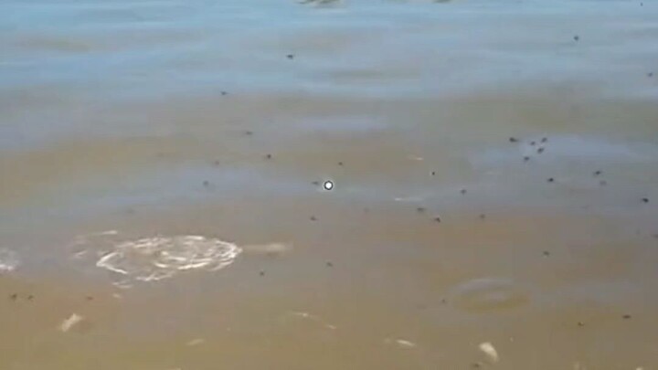 #shorts #gaming #games