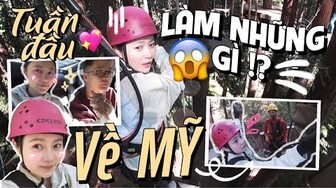 Vlog#97 TUẦN ĐẦU TRỞ VỀ MỸ GÀ TÂY TÂY LÀM GÌ????