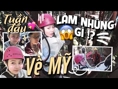 Vlog#97 TUẦN ĐẦU TRỞ VỀ MỸ GÀ TÂY TÂY LÀM GÌ????