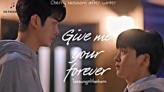 BL-FMV แทซอง×แฮบอม (Give Me Your Forever) ดอกซากุระหลังฤดูหนาว