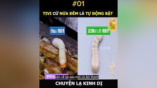 Chiện lạ lúc nữa đêm 🤣🤣reviewphim reviewphimhay