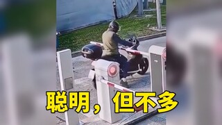 Cerdas, tapi tidak banyak!