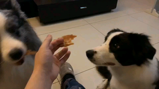 الورقة تزوجت