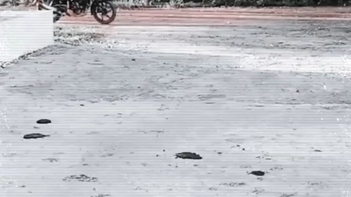 Tu Hai meri Dil Ruba😇