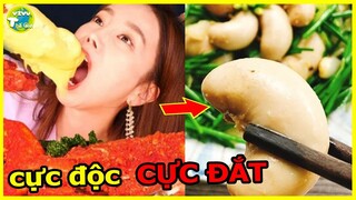 7 Món Ăn Đặc Biệt Cực Đắt Và Sang Chảnh Nhất Thế Giới Chỉ Giới Nhà Giàu Mới Dám I Vivu Thế Giới