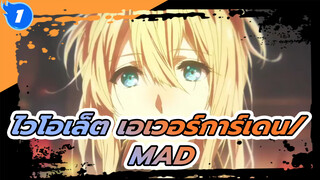 ไวโอเล็ต เอเวอร์การ์เดน/ _1
MAD