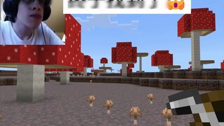 Minecraft Extremely Rare Event Mushroom Star