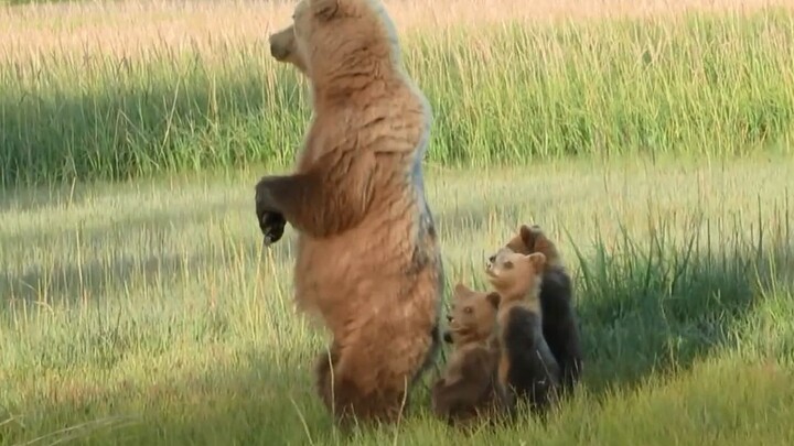 “Bu! Lihat, ada orang yang lagi ngeliatin kita!”