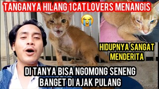 Masya Allah Kucing Ini Menangis Saat Di Ajak Pulang Dari Klinik Di Kandang 1 Bulan Akhirnya Bebas..!