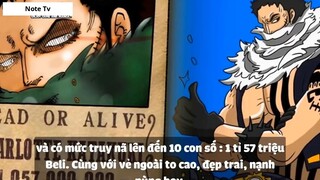 Top 6 Lệnh Truy Nã Mới Nhất Trong One Piece 2018 #1- 4
