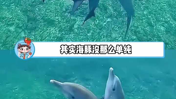 โลมา ช่วยอธิบายให้ฉันหน่อยสิ