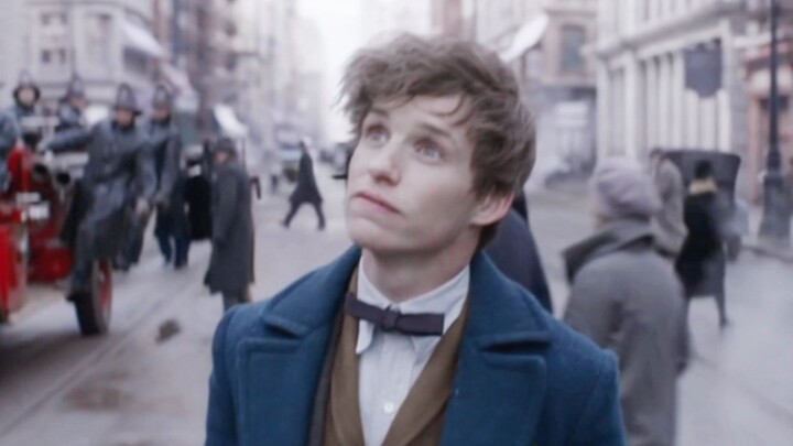 【Fantastik Beasts: Di Mana Binatang-Binatang Itu? || Newton Sendiri】Siapa yang tidak suka kakak kela