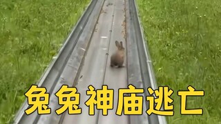 神庙逃亡，但你是BOSS