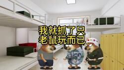 我就抓了只老鼠玩而已