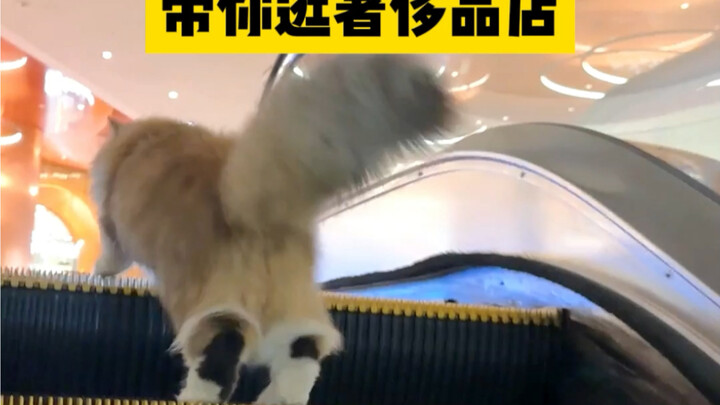 Young Master takes you on a tour of a luxury boutique—pick whatever you like!