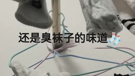 “Cuộc Phiêu Lưu Truy Tìm Mùi Hôi” #Thói Quen Buông Thả Hằng Ngày