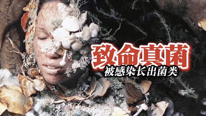 【เสี่ยวเสีย】เชื้อราโบราณโจมตีมนุษย์จนกลายเป็นเจ้าบ้าน ที่แท้บนร่างกายมนุษย์กลับเต็มไปด้วยเห็ดพิษร้าย
