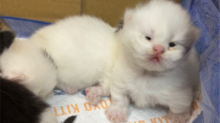 بصراحة… كل واحدة منها فاجأتني تمامًا!