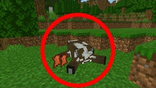 ตายแบบสมจริง ถูกเพิ่มเข้ามา!! Addon | Minecraft PE