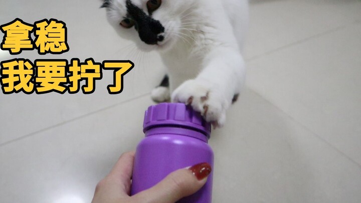 แมว: ไม่มีทางเหรอ? มีใครเปิดฝาขวดไม่ได้อีกมั้ย?