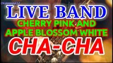 LIVE BAND || CHERRY PINK AND APPLE BLOSSOM WHITE | CHA-CHA