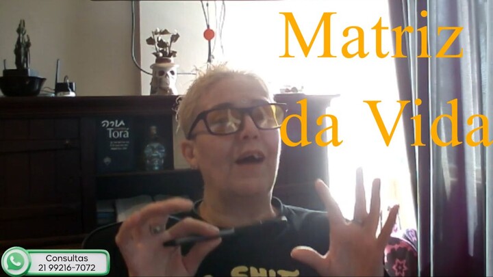Matriz da Vida Apresentação