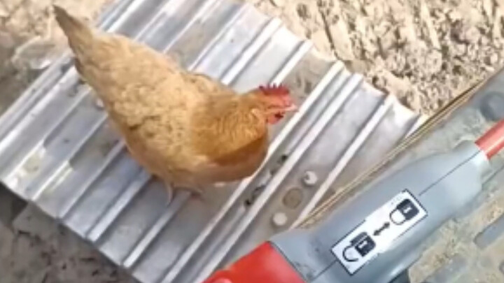 Setelah menonton video ini, kamu jadi paham pelajaran apa?