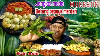 MAKAN LALAPAN BATANG PAPAYA MENTAH DAUN PAPAYA MENTAH JENGKOL MUDA MENTAH IKAN ASIN SAMBAL TERASI