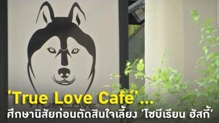 True Love Café'...ศึกษานิสัยก่อนตัดสินใจเลี้ยง 'ไซบีเรียน ฮัสกี้'