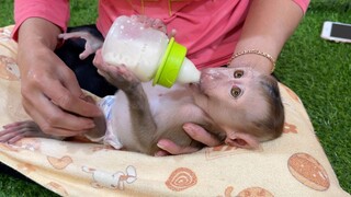 Lovely Liheang Drinking Milk Very Soft Eyes