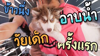 คลิปที่ไม่เคยลง!! ข้าวนึ่งวัยเด็กอาบน้ำครั้งแรก ขี้อ้อนมากกก - ข้าวนึ่ง & เดอะแก๊ง