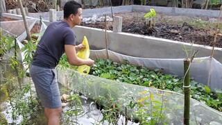 Ở Quê Thích Thật 1 Ngày Thật Vui | Út Đạt | # 350