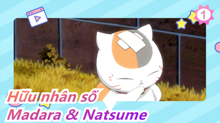 [Hữu nhân số] [Madara & Natsume]S5SP2 Bửa tối trận đấu/Madara đến tiệc và bỏ Natsume 1 mình_1