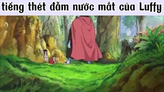 chờ cuộc hội ngộ của các thành viên sau 2 năm timeskip. || #anime #onepiece