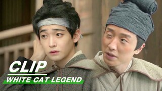 Alibaba and His Team were Captured | White Cat Legend EP14 | 大理寺少卿游 | iQIYI