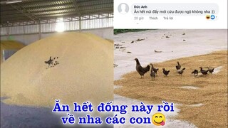 Mẹ dẫn các con đi ăn Buffet - Top Comment Face Book (p175)