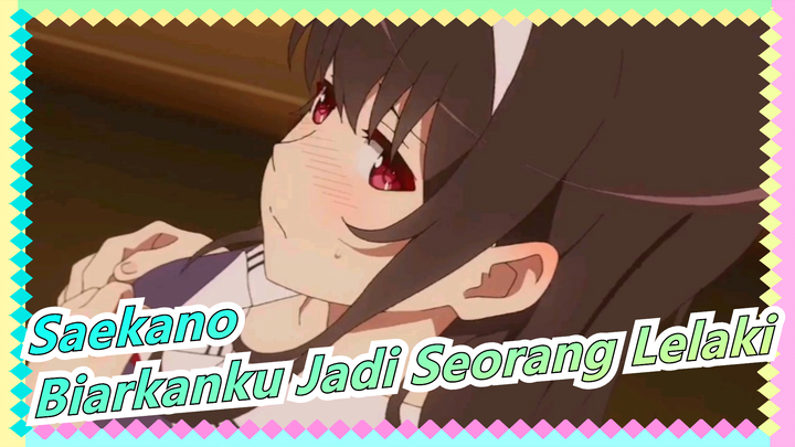 Saenai Heroine no Sodatekata | Kakak, Biarkan Aku Menjadi Seorang Pria Sekali Saja!