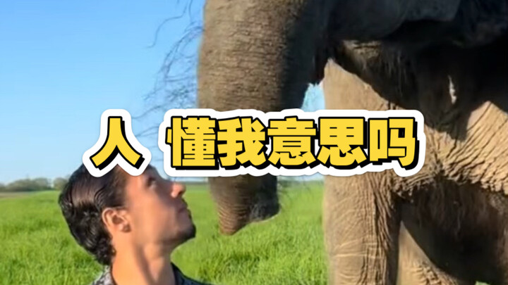 大象：人可以不吃这个