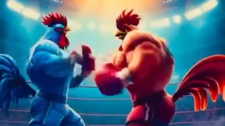 🐔Roosterr vs Rooster🐓 Fight #shorts #trending #fight