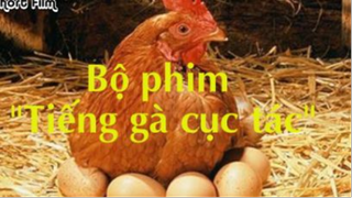 Tiếng gà#phim