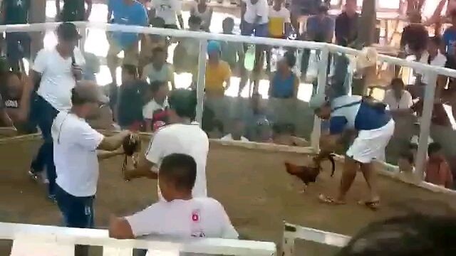 ipilan brookes hack fight 3x win