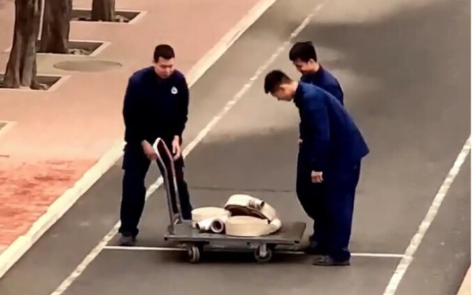 Sirkuit otak yang unik