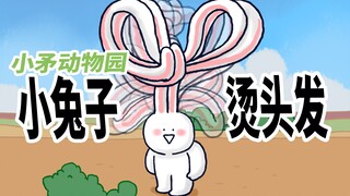 【小矛动物园】小兔子烫头发，挺美的，但是现在有点看不清了。