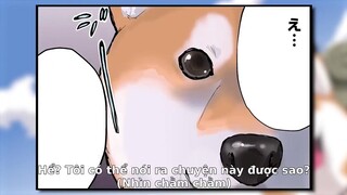 Ngày Tận Thế Với Chú Chó Shiba Của Tôi EP 13 [Sub Việt]