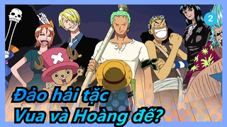 Đảo hải tặc|" Khoảng cách giữa Vua và Hoàng đế "giá trị sức mạnh chiến đấu của từng đội trưởng!_2