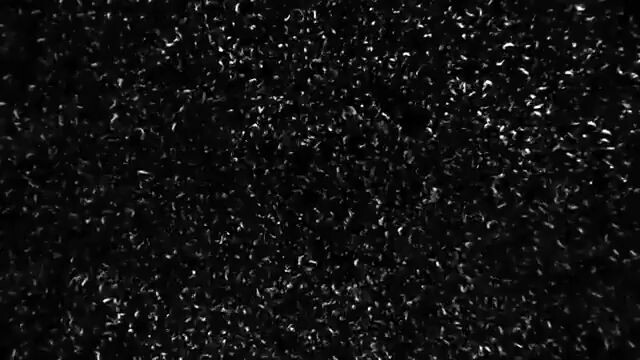 ALL OF US ARE DEAD ( TAGALOG DUBBED ) EPISODE  2