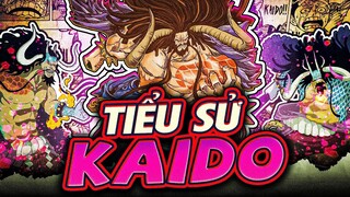 ONE PIECE | TỨ HOÀNG KAIDO - SINH VẬT MẠNH NHẤT! ĐẾN SIÊU NHÂN GAO CÒN PHẢI NGÁN!