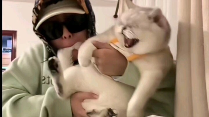 การเป่าซออูเฟินน่าขำมาก บางคนบอกว่าที่ลุงเฟินอ้วนก็เพราะแม่ของเฟินเป่าให้อ้วนน่ะ